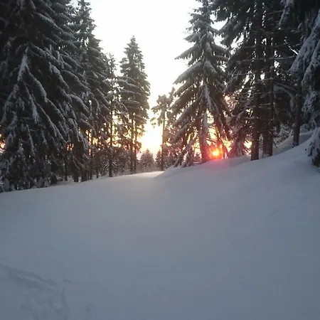 Ferienhaeuschen Blessberg *