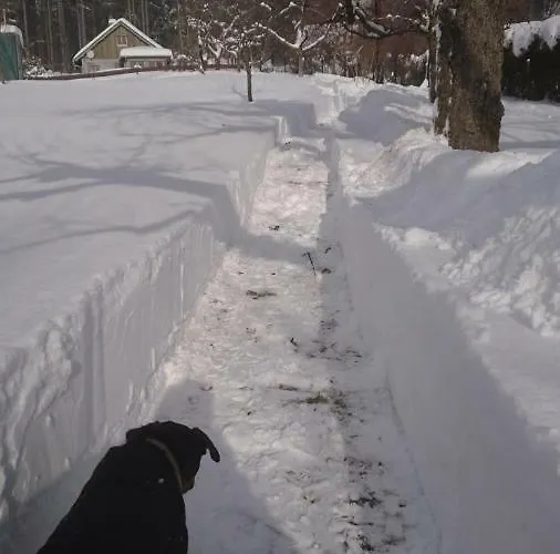 Дом отдыха Ferienhaeuschen Blessberg *