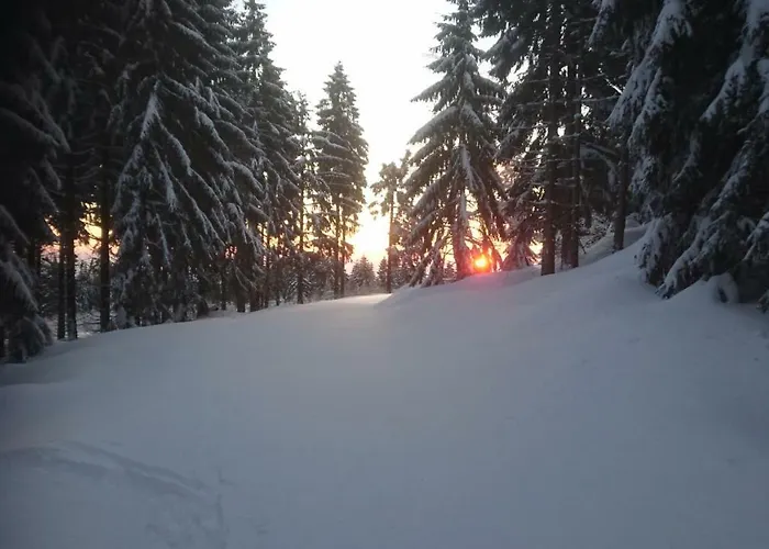 Ferienhaeuschen Blessberg *